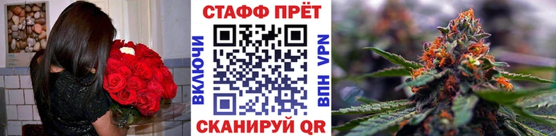 A PVP Мезень
