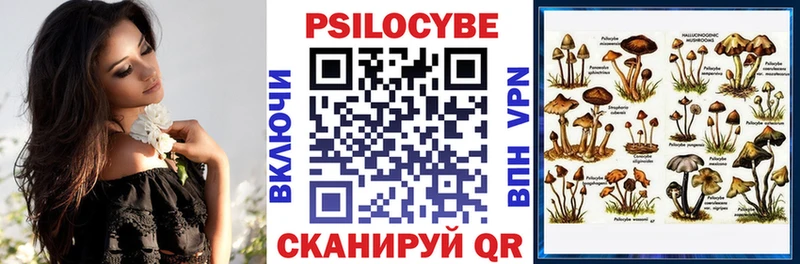 Купить закладки  Мезень  Галлюциногенные грибы мухоморы 